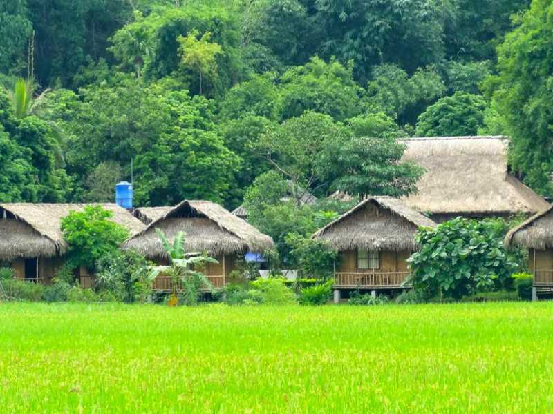 Hanoi - Mai Chau - Pu Luong - Hard Trek Tours 6 Days 5 Nights