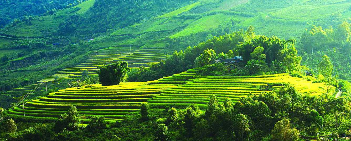 Mai Chau 1 Day Tour: Pom Coong Village - Na Phon Village